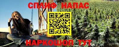 стафф Тула