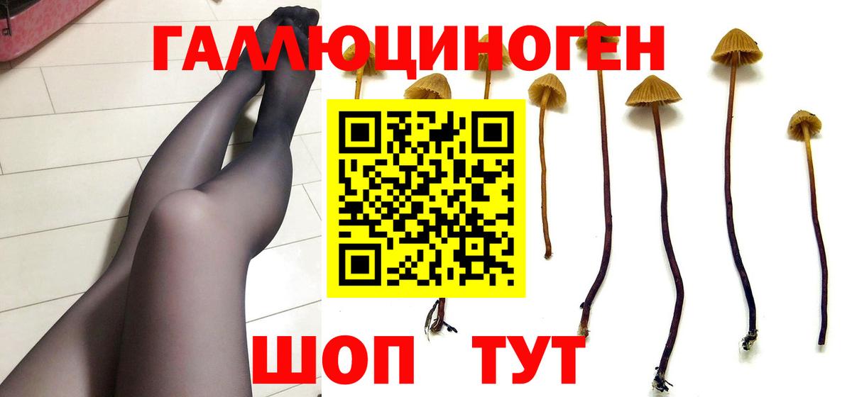 Галлюциногенные грибы мухоморы  Вход с VPN  хочу   Галлюциногенные грибы мухоморы  Полевской 